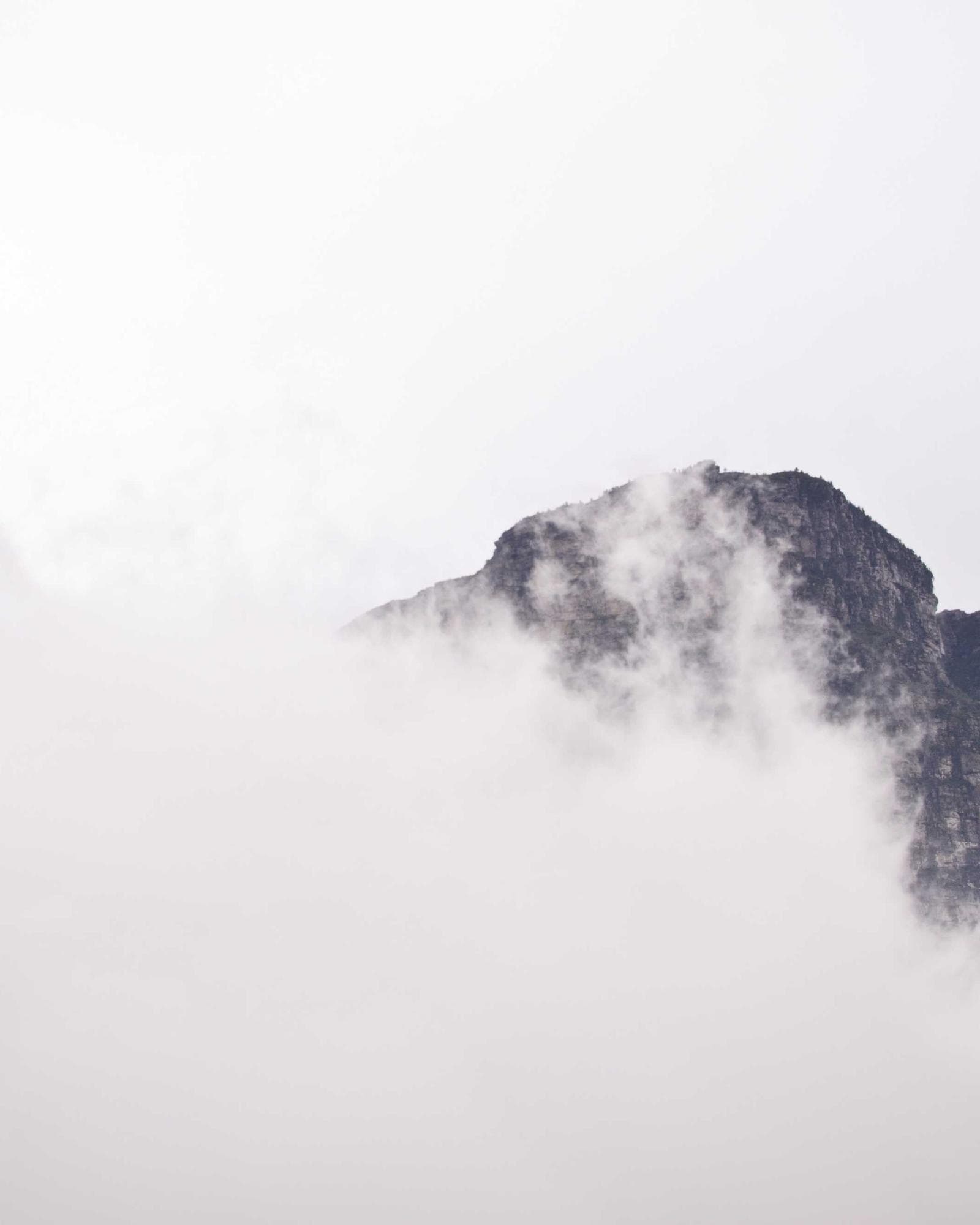 Men's Cow Leather Quilted Panels Bikers Pants — 360° View